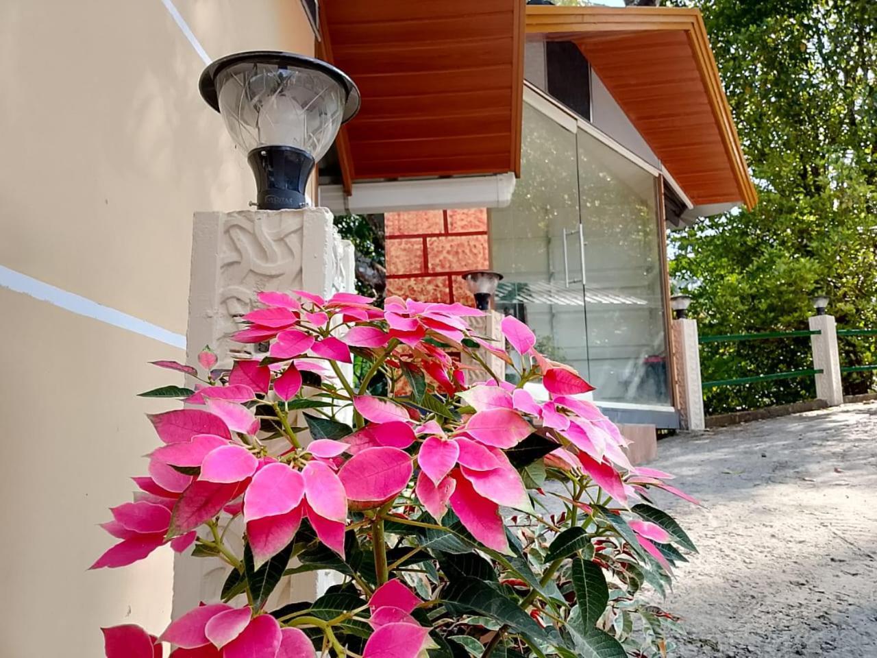 Cloudscape Homestay Pīrmed Екстериор снимка